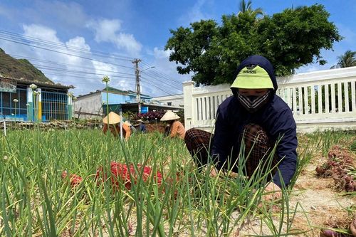 Đặc khu Lý Sơn đẩy mạnh công tác giảm nghèo, nâng cao đời sống người dân