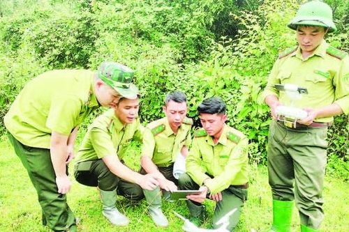 Ứng dụng công nghệ số trong quản lý, bảo vệ rừng