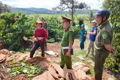 Giữ vững an ninh trật tự vì một mùa thu hoạch cà phê bình yên