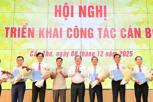 TP Cần Thơ bổ nhiệm lãnh đạo sở, ngành, đơn vị trực thuộc
