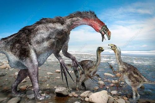 Loài khủng long kỳ lạ móng vuốt dài 30 cm, đầu nhỏ xíu