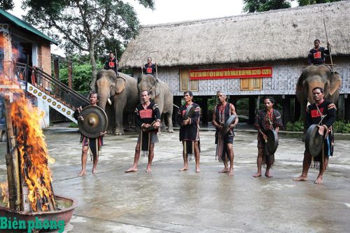 Hành trình hồi sinh âm nhạc truyền thống của đồng bào dân tộc thiểu số ở Tây Nguyên trong đời sống đương đại