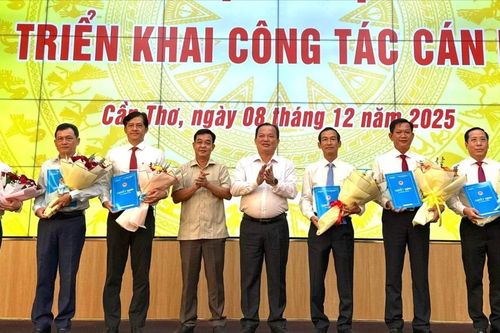 Cần Thơ bổ nhiệm nhiều vị trí chủ chốt