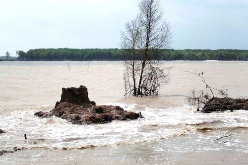 Những phận người 'chạy sóng' ở Trảng Tràm