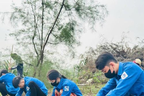 Thanh niên trồng cây khôi phục hệ sinh thái sau bão, lắp đặt hệ thống đường điện
