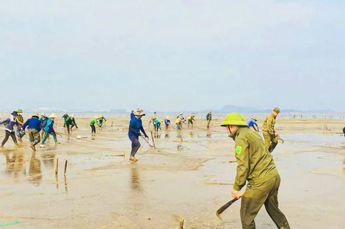 Hàng trăm cán bộ lội nước 'dẹp loạn' nuôi trồng thủy sản trái phép