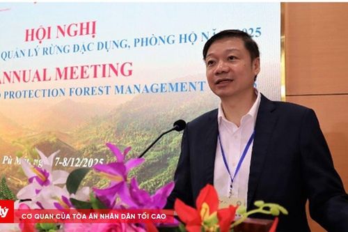 Số vụ phá rừng trái phép và cháy rừng năm 2025 giảm