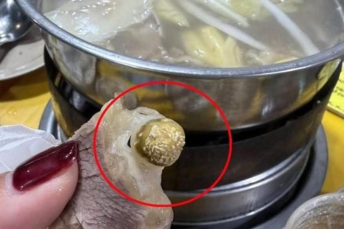 Bị khách tố miếng thịt có dòi, quán bò nhúng giấm ở Hà Nội tạm dừng hoạt động