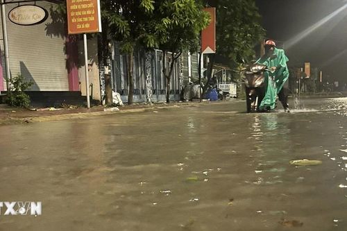 Quảng Ngãi tập trung ứng phó với mưa lớn, lũ và sạt lở đất