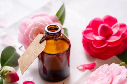 Dầu hoa trà Nhật Bản: Báu vật giúp nuôi dưỡng, phục hồi và bảo vệ mái tóc