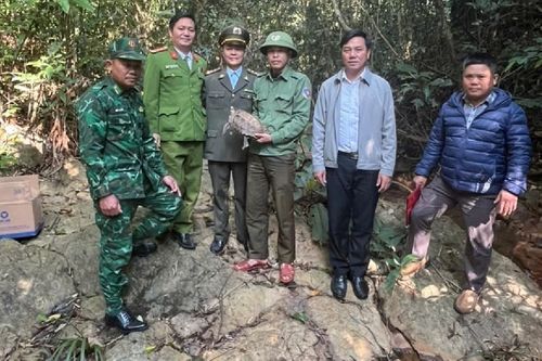 Thả cá thể rùa núi viền quý hiếm về môi trường tự nhiên