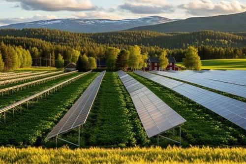 Nhà máy điện mặt trời nông nghiệp 46 MW: Bước ngoặt quan trọng cho quốc gia Bắc Âu