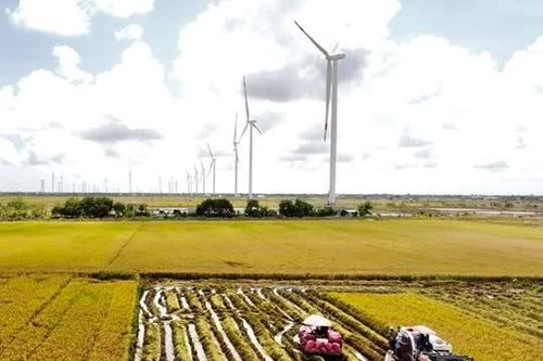 Cà Mau đặt mục tiêu tăng trưởng GRDP hai con số
