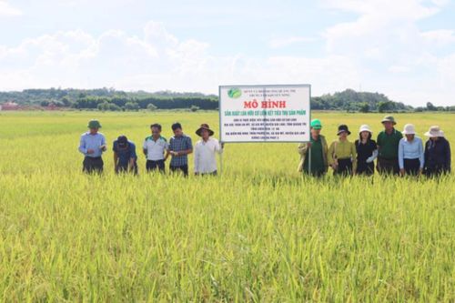 Quảng Trị thúc đẩy kinh tế xanh, mở rộng mô hình nông nghiệp hữu cơ - tuần hoàn giai đoạn 2026-2030