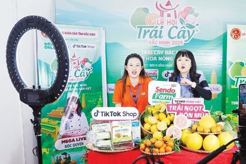 Lễ hội trái cây Bắc Ninh 2025: Kết nối giao thương, đẩy mạnh phát triển du lịch nông nghiệp