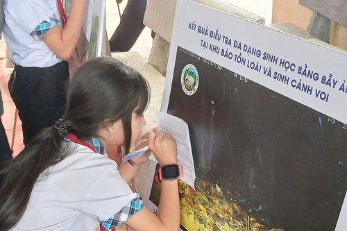 Yêu thiên nhiên từ bài học nhỏ