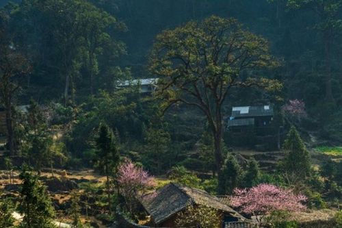 Cao nguyên đá Đồng Văn: Hành trình tới điểm đến văn hóa hàng đầu thế giới