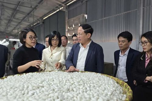 Chủ tịch UBND tỉnh Phạm Anh Tuấn thăm Công ty cổ phần Dâu tằm tơ Hàm Rồng và kiểm tra tiến độ thi công tuyến đường Nguyễn Văn Linh
