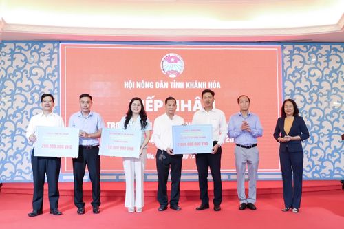 Các đơn vị, doanh nghiệp TP. Hồ Chí Minh hỗ trợ nông dân Khánh Hòa khắc phục hậu quả mưa lũ