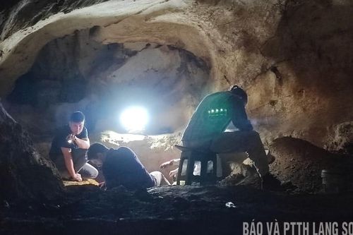 Hành trình tìm về quá khứ