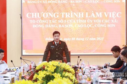 Tổ công tác số 5 của Ban Thường vụ Tỉnh ủy làm việc với đảng bộ các xã