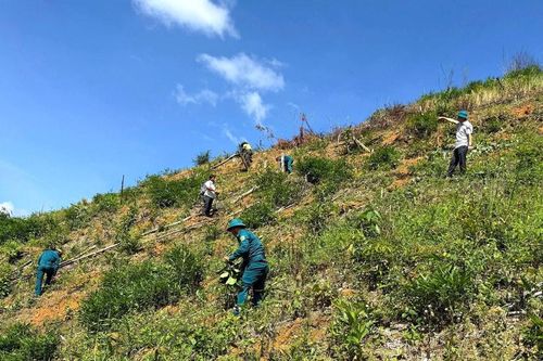 Quảng Khê giải tỏa 7,7 ha đất lâm nghiệp bị lấn chiếm