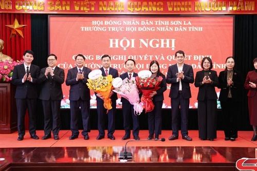 Công bố nghị quyết và quyết định của Thường trực HĐND tỉnh về công tác cán bộ