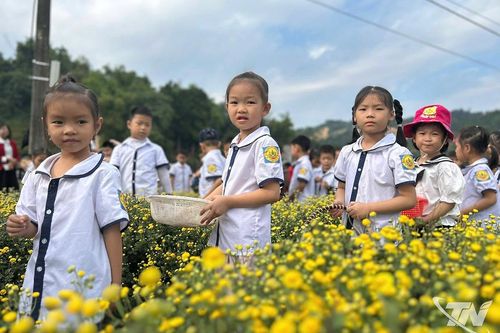 Rực rỡ những mùa hoa