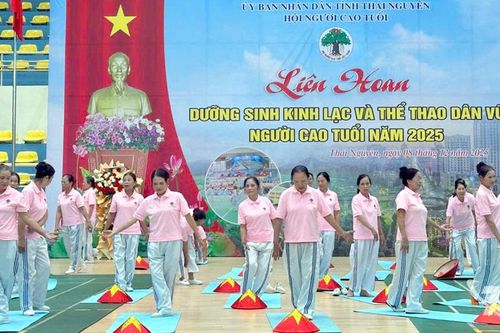Hơn 300 người cao tuổi tham gia Liên hoan dưỡng sinh kinh lạc và thể thao dân vũ
