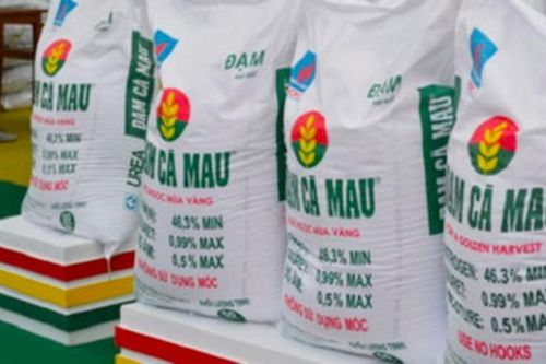 Đạm Cà Mau điều chỉnh kế hoạch sản xuất, kinh doanh