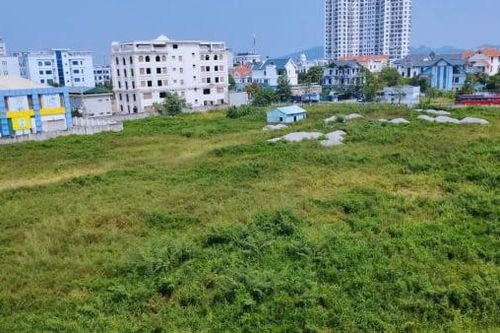 Vì sao gần 50 sàn bất động sản ở Thanh Hóa, chỉ hai đơn vị đạt chuẩn pháp lý?