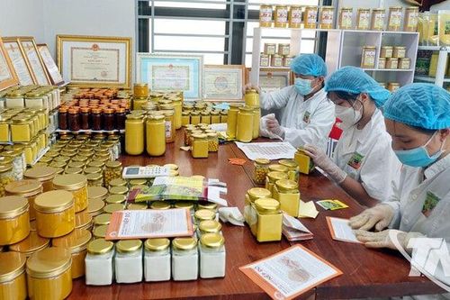 Hợp tác xã nâng tầm, nông thôn mới chuyển mình