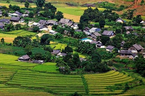 Cặp lồng yêu thương