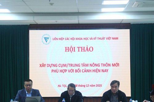 Xây dựng cụm, trung tâm nông thôn mới phù hợp với bối cảnh hiện nay ở Việt Nam