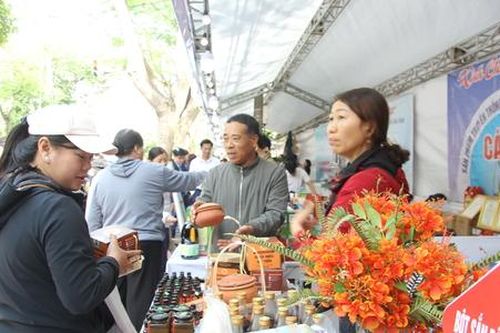 Công nghệ bảo quản rươi giúp HTX An Thanh 'phá vỡ mùa vụ', tăng giá trị nông sản hữu cơ