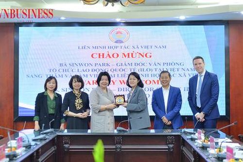 VCA và ILO tăng cường hợp tác, mở rộng hỗ trợ HTX trong giai đoạn mới