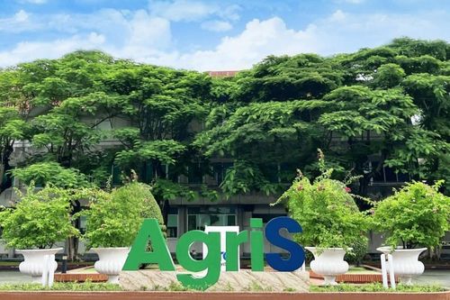 SBT công bố chiến lược tăng trưởng 2025–2030