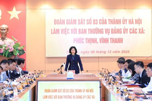 Kiểm đếm tiến độ dự án hàng tuần, hàng tháng