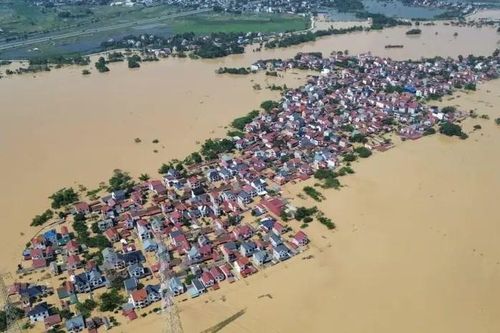 Giảm lãi vay chính sách vùng bị ảnh hưởng bão số 12