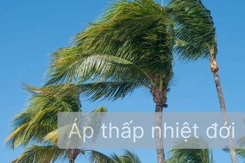 Áp thấp nhiệt đới suy yếu nhưng còn khả năng tác động mạnh