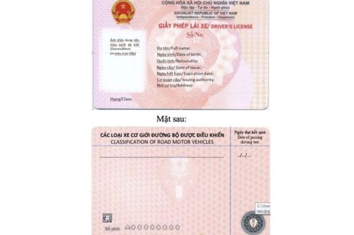 Từ nay đến 31/12/2025: Không đổi GPLX mới màu hồng sẽ bị phạt phải không, thông tin quan trọng ai cũng cần biết