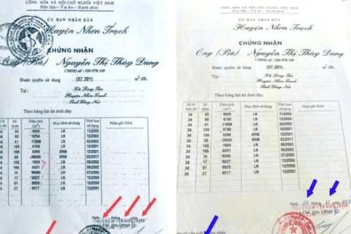 'Điền bổ sung' vào sổ đỏ theo chỉ đạo của cán bộ huyện?!