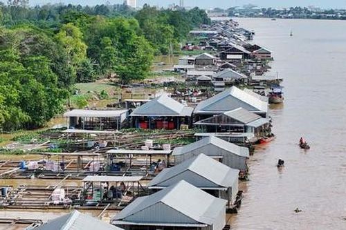 Đồng bằng Sông Cửu Long: Vươn lên với nền nông nghiệp bền vững, hiện đại