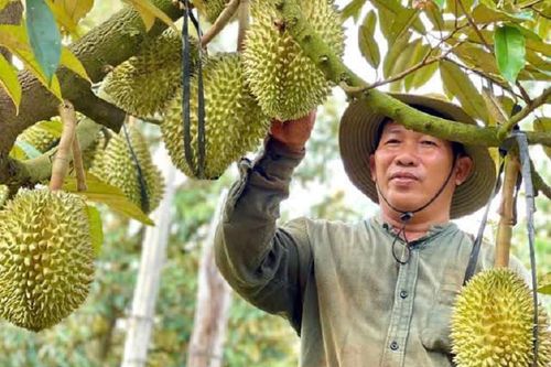 Đắk Lắk tăng tốc giảm nghèo nhờ nguồn lực đồng bộ và quyết tâm tự vươn lên