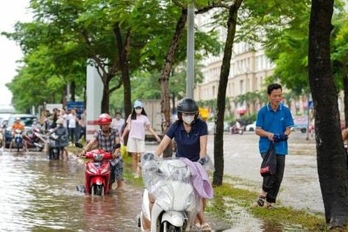 'Vai trò của chính quyền các địa phương là rất quan trọng'