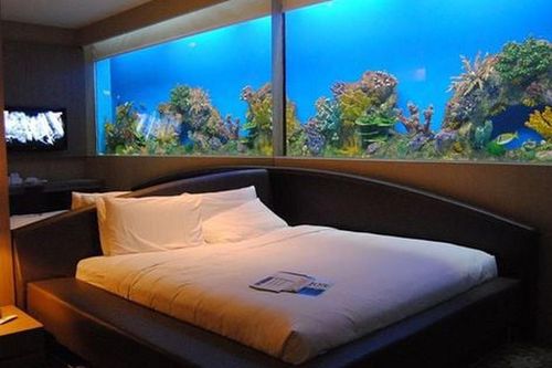 Có nên đặt bể cá trong phòng ngủ? Chuyên gia phong thủy cảnh báo điều nhiều gia đình đang vô tình phạm phải