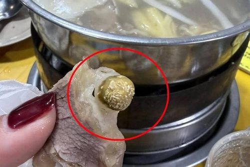 Ồn ào 'gầu bò có dòi': Quán bò nhúng giấm lâu đời ở Hà Nội bất ngờ đóng cửa sau 15 năm hoạt động