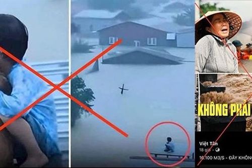 Len lỏi fake news