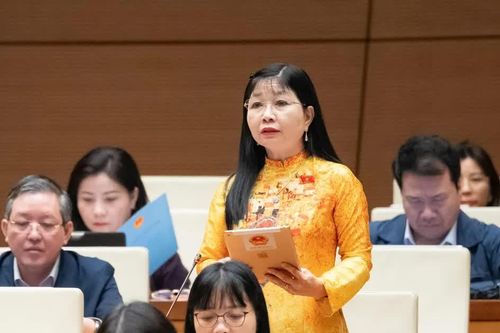 Đại biểu Quốc hội đề nghị sửa đổi quy định liên quan định mức kinh tế kỹ thuật, dịch vụ sự nghiệp trong lĩnh vực báo chí