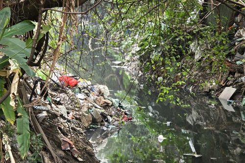 Hà Nội: 17 năm chịu đựng ô nhiễm khi sống cạnh mương Kẻ Khế